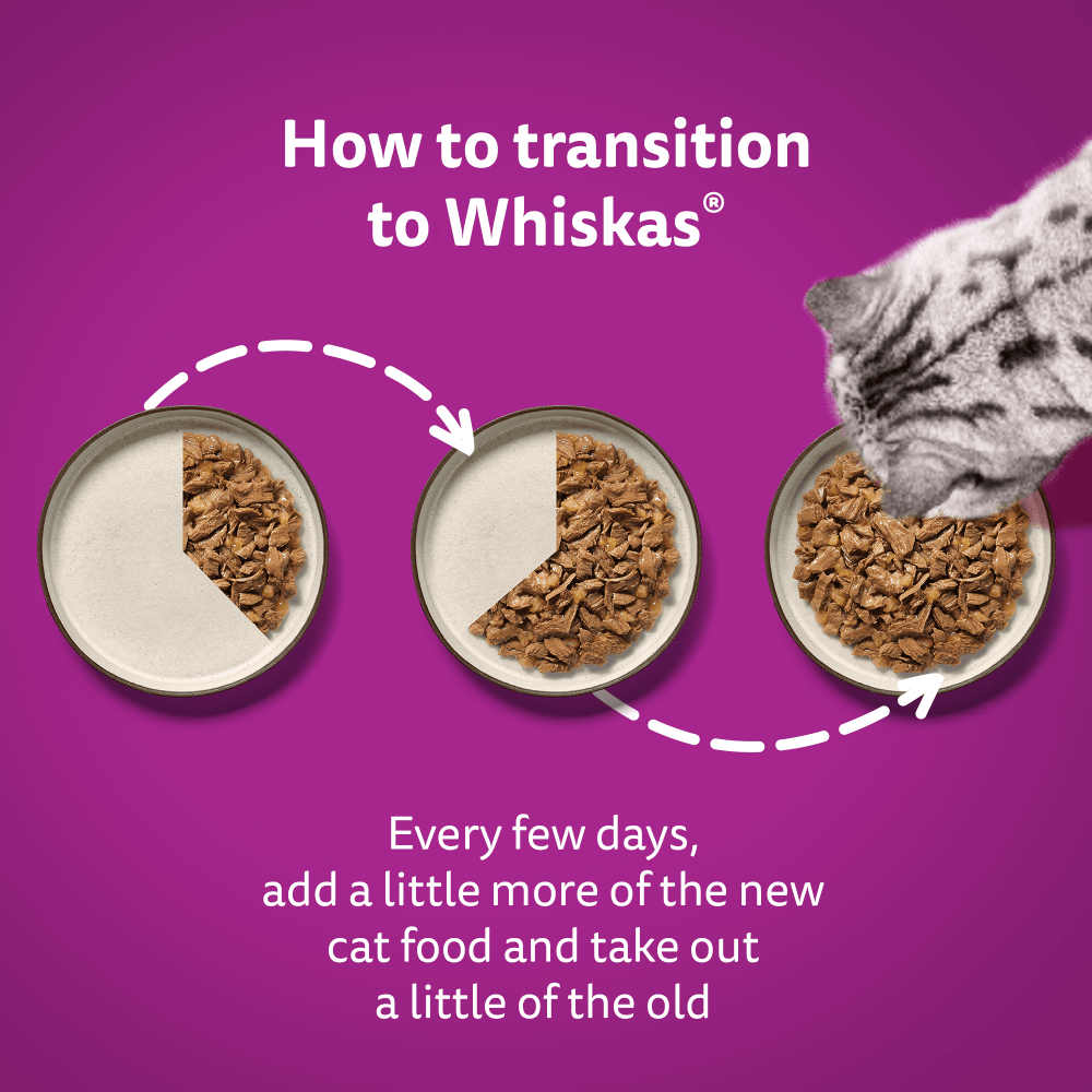 WHISKAS® TASTY MIX Catch of the Day in Gravy 1+ Adult Wet Cat Food Pouches 12 x 85g - 5